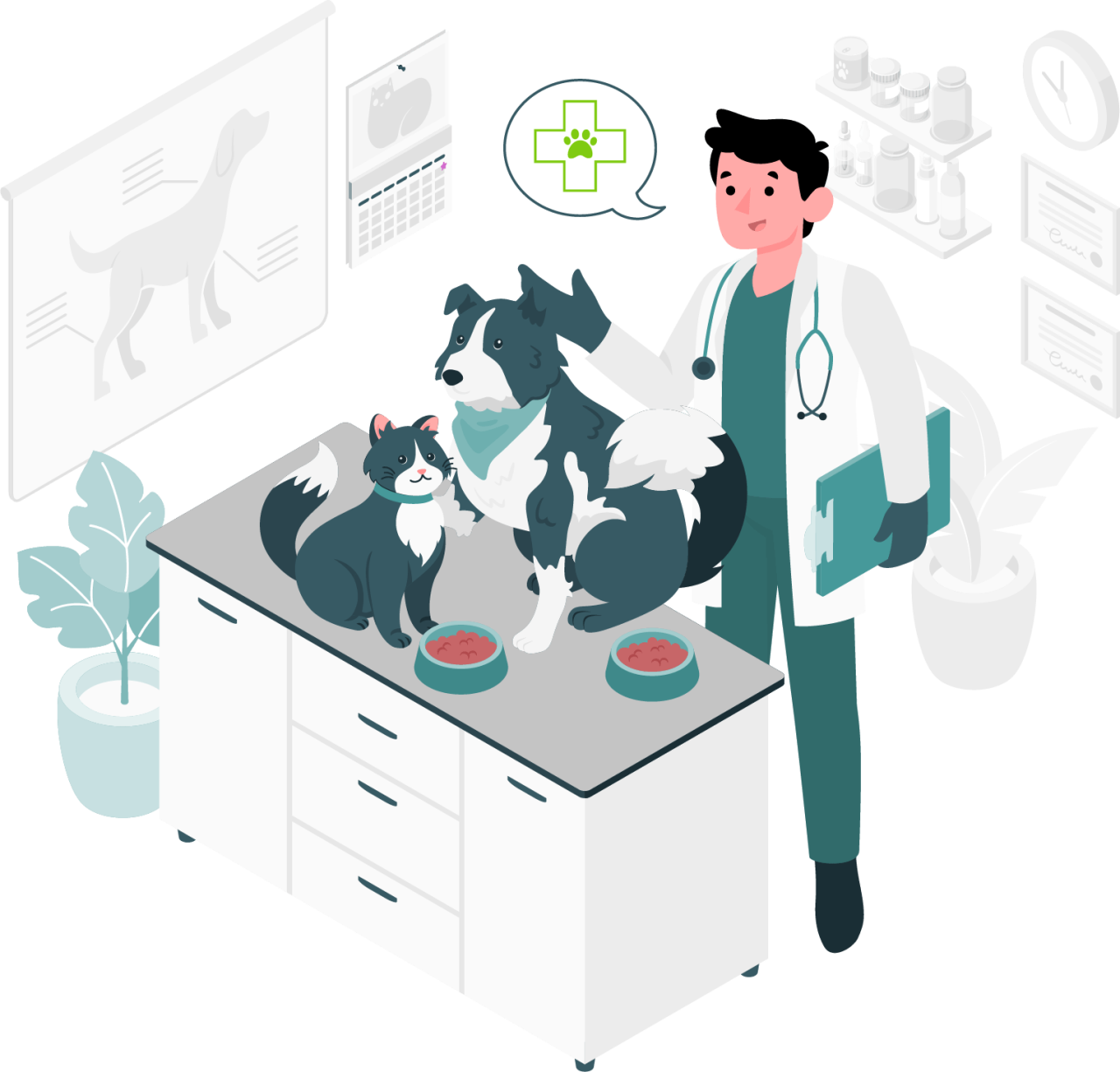 Home Aclin Veterinary Supplies