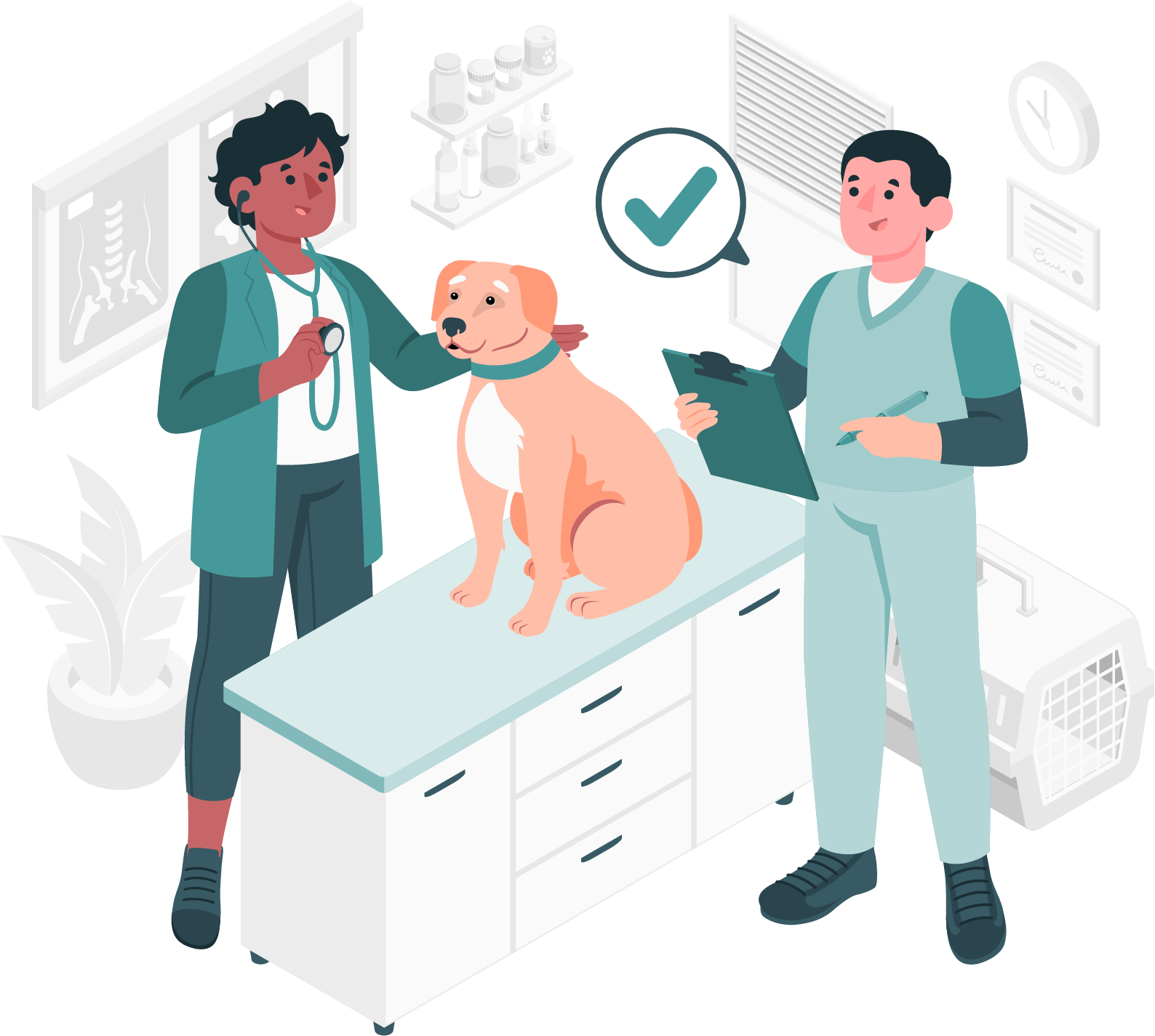 https://www.aclinvet.com/wp-content/uploads/2024/05/service-img-2.png