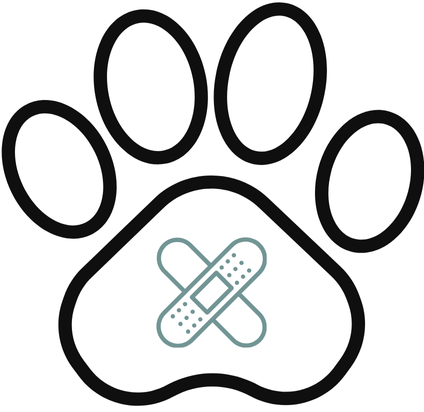 https://www.aclinvet.com/wp-content/uploads/2024/06/wound-care.png